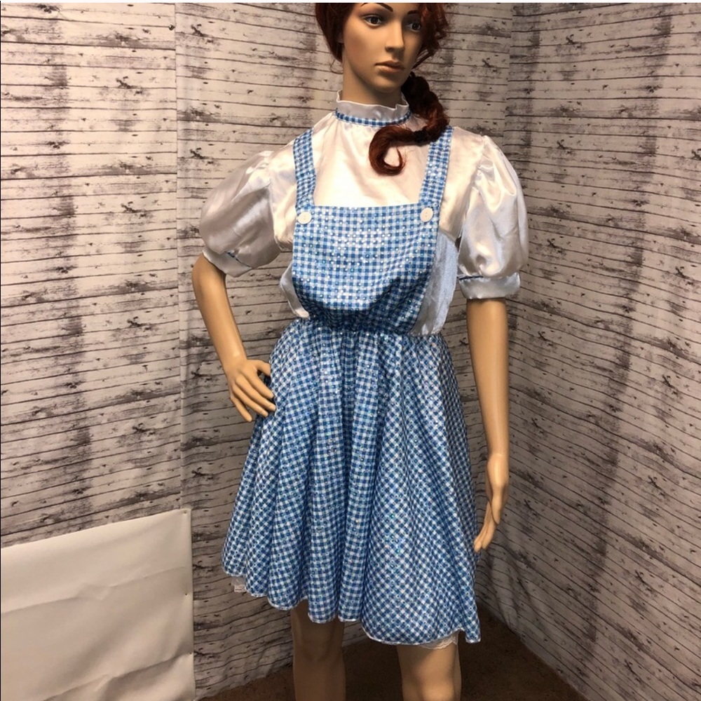 Dorothy adult costume